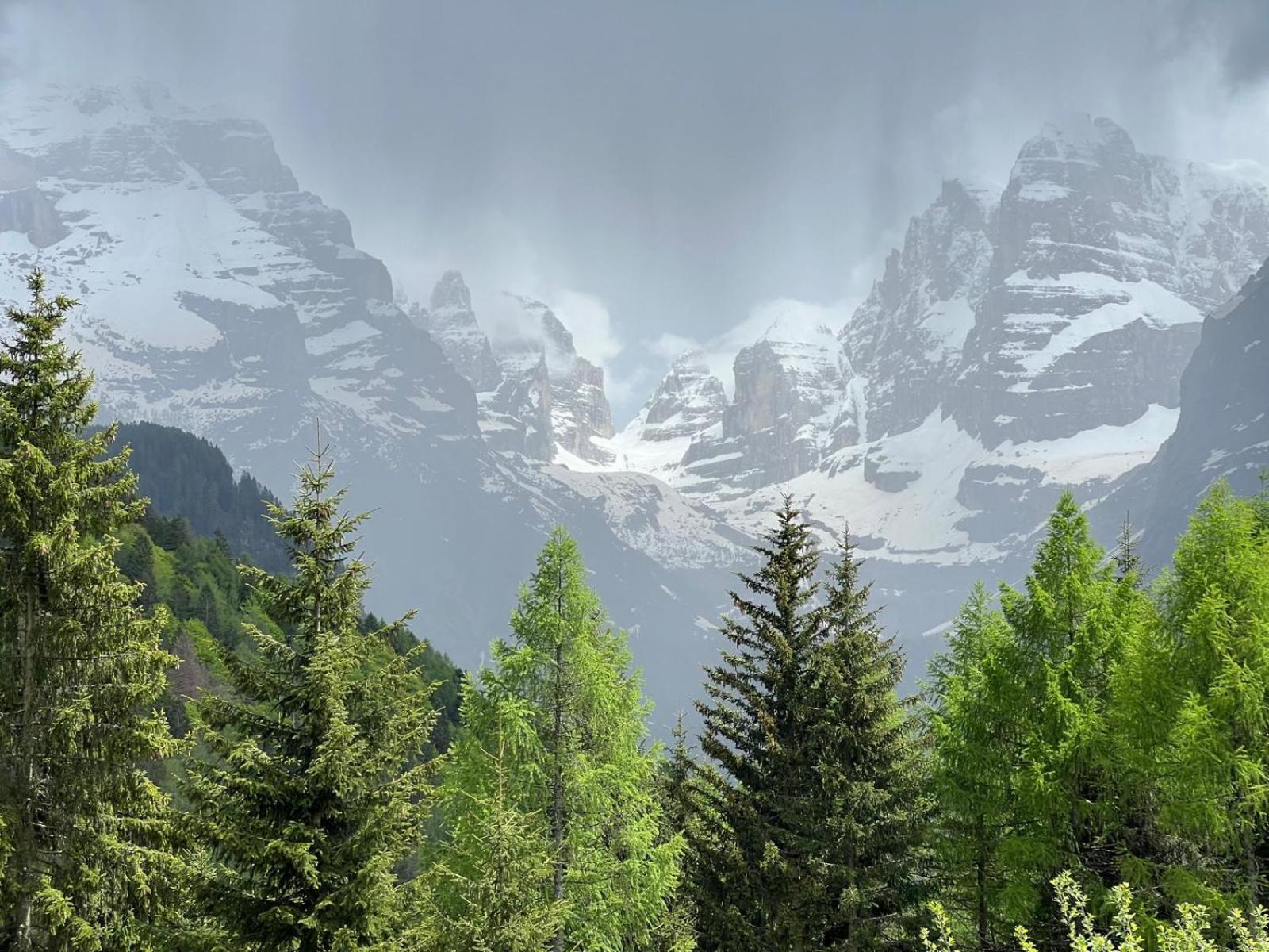 Apartament Menz Campiglio *